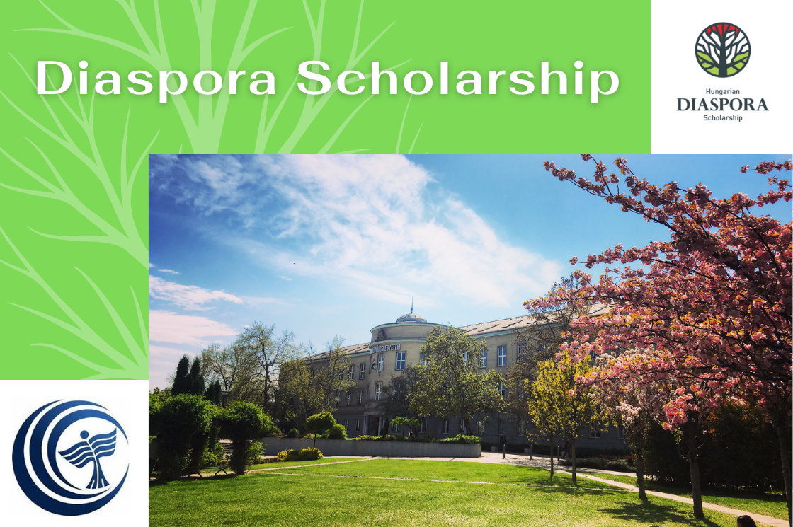 Scholarship for Hungarian diaspora members available at the University of Dunaújváros